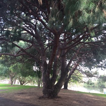 Polliwog Park - Parks Near Me - Manhattan Beach, California Polliwog Park - Parks Near Me - Manhattan Beach, California