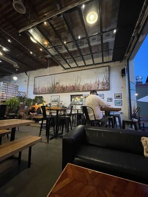 Root Wild Kombucha by null