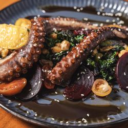 Octopus