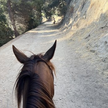 Circle K Riding Stables - Well maintained trails. Thankfully no bikes - Horseback Riding Near Me - Burbank, California