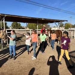 Equine Connections - Hosting groups is always fun!