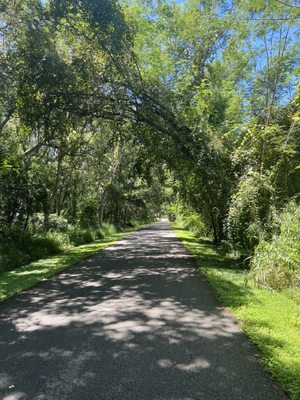 West Orange Trail by null