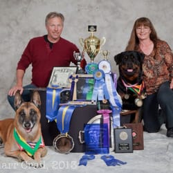 harringtons salmon and sweet potato