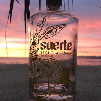 El Conejo - Bars Near Me - Sayulita, NAY El Conejo - Bars Near Me - Sayulita, NAY