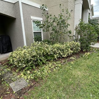 Mower Men - Trimming - Landscaping Near Me - Orlando, Florida Mower Men - Trimming - Landscaping Near Me - Orlando, Florida