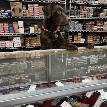 Canyon Sports - Helpful staff member eager to answer your questions. - Guns & Ammo Near Me - Martinez, California Canyon Sports - Helpful staff member eager to answer your questions. - Guns & Ammo Near Me - Martinez, California