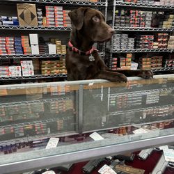 Canyon Sports - Helpful staff member eager to answer your questions.