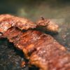 Brasas Steakhouse & Grill gift card