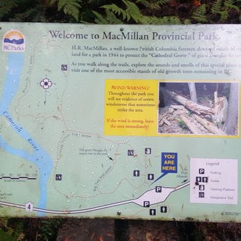 Cathedral Grove - Parks Near Me - Nanaimo, British Columbia