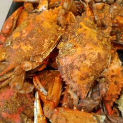 Steamers Crab & Seafood Market - Crabs!!