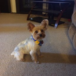 My sweet boy