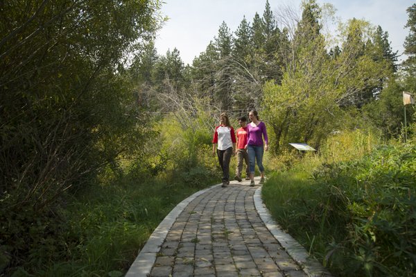 UC Davis Tahoe City Field Station by null