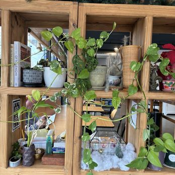 Soul N' Vinegar - Plants! - Salad Near Me - Richmond, Virginia Soul N' Vinegar - Plants! - Salad Near Me - Richmond, Virginia