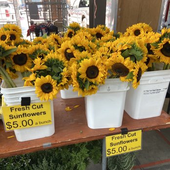 Eastern Market - Farmers Market Near Me - Detroit, Michigan Eastern Market - Farmers Market Near Me - Detroit, Michigan