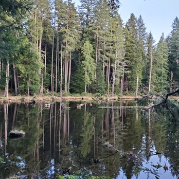 Watershed Preserve - Parks Near Me - Redmond, Washington