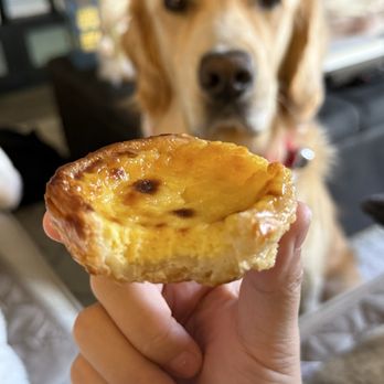 Bica Cafe - Egg tart - Bakeries Near Me - Noblesville, Indiana Bica Cafe - Egg tart - Bakeries Near Me - Noblesville, Indiana
