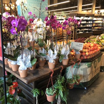 Barons Market Otay Ranch - Grocery Near Me - Chula Vista, California Barons Market Otay Ranch - Grocery Near Me - Chula Vista, California