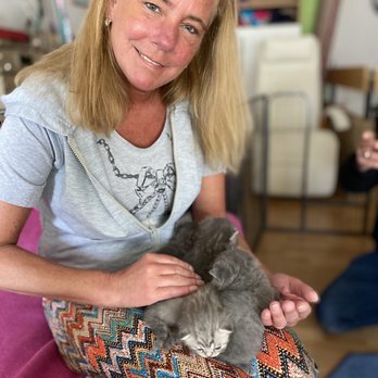 Tierarztpraxis Astrid Urlaub Tierarztpraxis Astrid Urlaub