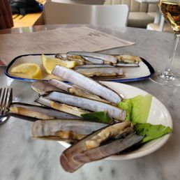 Razor clams Razor clams