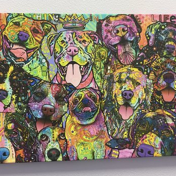 SoCal Pet Hospital - Another gorgeous canvas at SoCal pet hospital Murrieta California - Veterinarians Near Me - Murrieta, California SoCal Pet Hospital - Another gorgeous canvas at SoCal pet hospital Murrieta California - Veterinarians Near Me - Murrieta, California