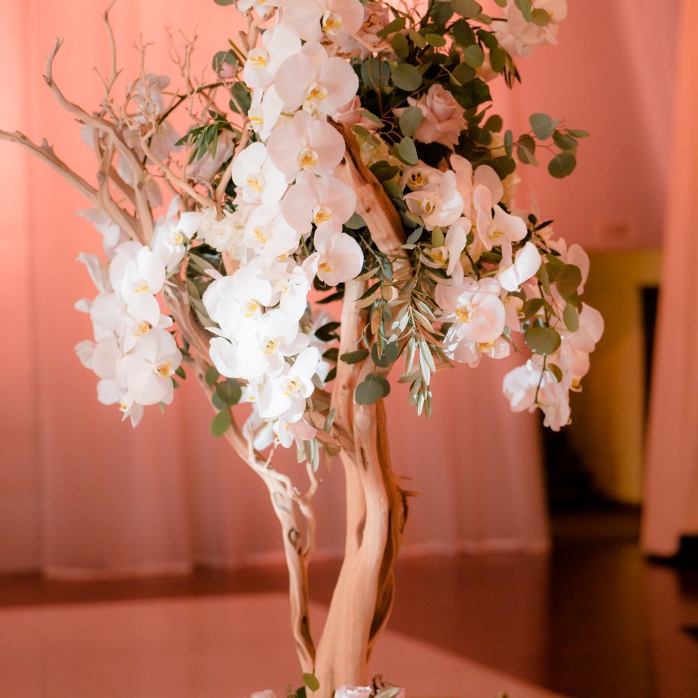 Tutta Bella Florist - Florists Near Me - Rancho Cucamonga, California Tutta Bella Florist - Florists Near Me - Rancho Cucamonga, California