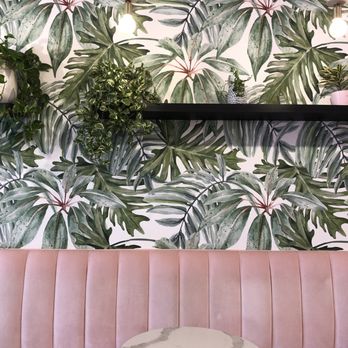 Holy Matcha - Tea Rooms Near Me - San Diego, California Holy Matcha - Tea Rooms Near Me - San Diego, California