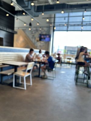 Shake Shack Ann Arbor by null