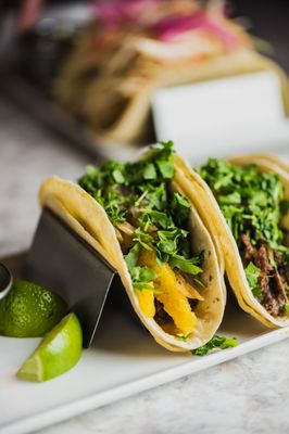 Sanfords by null Sanfords by null