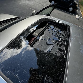Palm Lake - Someone shattered my sunroof and left blood on the roof. - Apartments Near Me - Concord, California