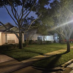 Professional Tree Services
