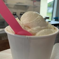 Mystic Ice Cream - Coco rum on top.  Did I say they serve in pints, too?? Take home for later.  Recycle friendly bio degradable serveware gets major !
