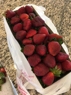 Smith Farms by null
