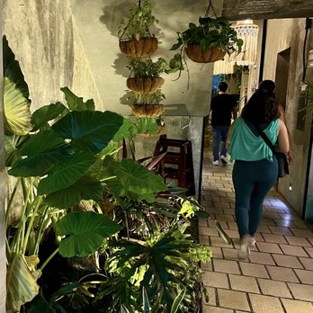 Plantasia Cafe - Pan Asian Near Me - Ciudad de Mexico, DIF Plantasia Cafe - Pan Asian Near Me - Ciudad de Mexico, DIF
