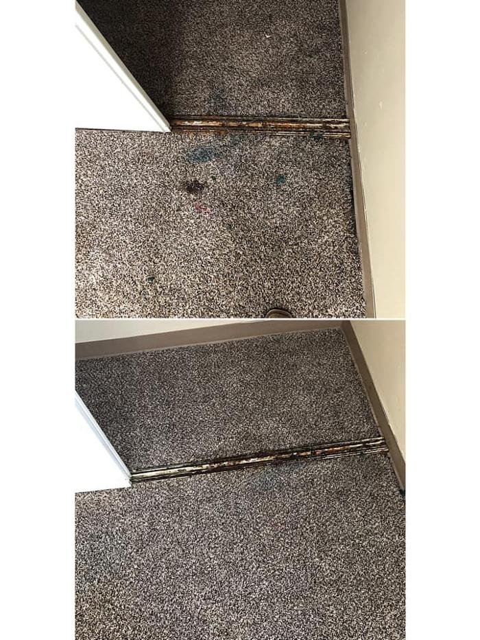 CAIN’S CARPET CLEANING AND RESTORATION Updated August 2024 12 Photos 6325 Star Ln