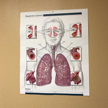 Southwest Urgent Care Center - The components of the human air intake/exhaust system! - Urgent Care Near Me - El Paso, Texas