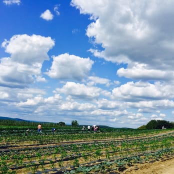 Ochs Orchard - Beautiful view on a sunny day. - Fruits & Veggies Near Me - Warwick, New York Ochs Orchard - Beautiful view on a sunny day. - Fruits & Veggies Near Me - Warwick, New York