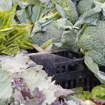 Forest Hills Greenmarket - BROCCOLI & Cabbage - Farmers Market Near Me - Forest Hills, New York