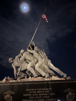 USA Guided Tours by null