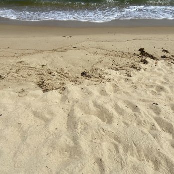 Ocean View Beach Park - Ocean View Beach view of the sand leading up to the Chesapeake Bay - Beaches Near Me - Norfolk, Virginia