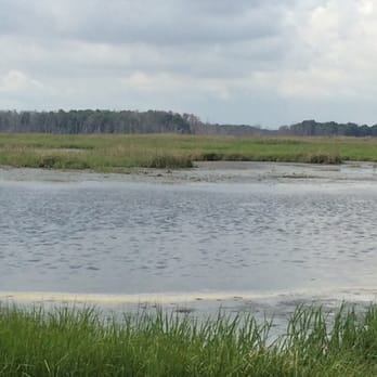 Prime Hook National Wildlife Refuge - Parks Near Me - Milton, Delaware