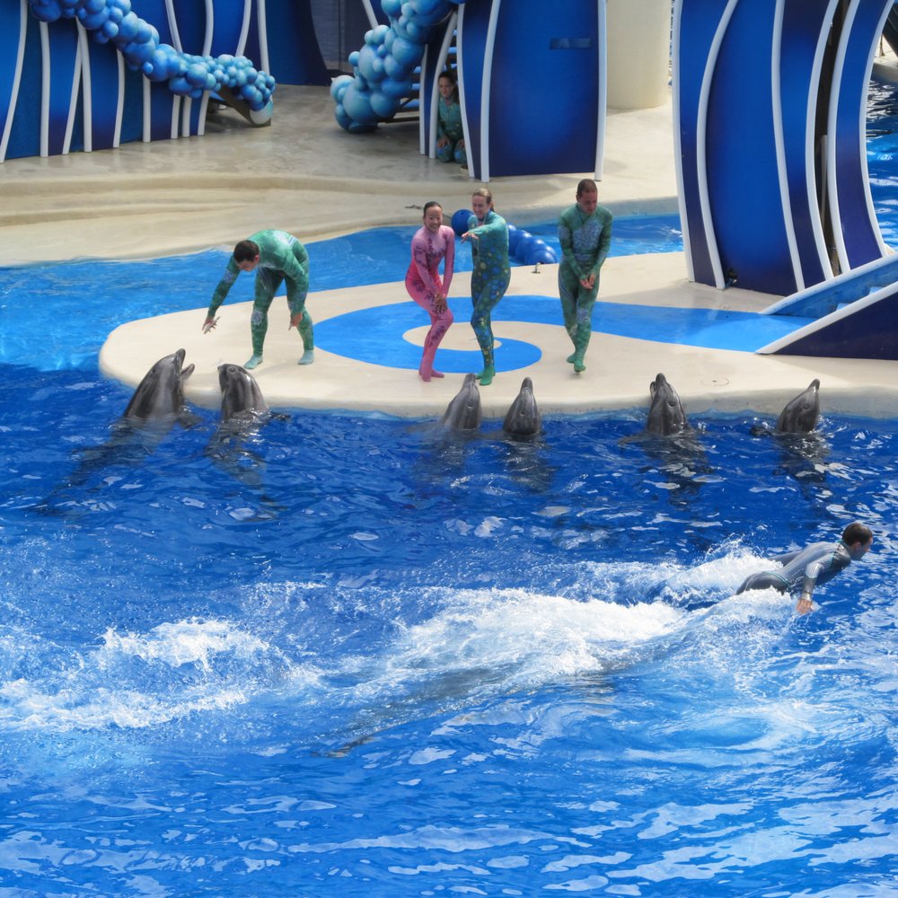 Dolphin Theater - Stadiums & Arenas Near Me - Orlando, Florida Dolphin Theater - Stadiums & Arenas Near Me - Orlando, Florida