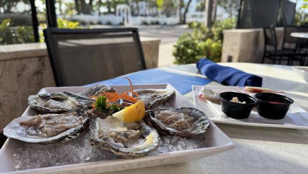 Guppy's On the Beach by null