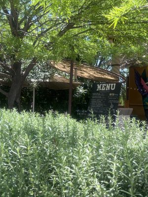 Food Truck Adobe Guadalupe by null