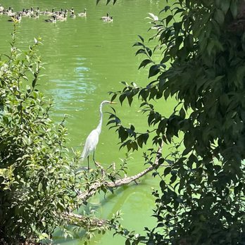 Storyland - egret? - Amusement Parks Near Me - Fresno, California Storyland - egret? - Amusement Parks Near Me - Fresno, California