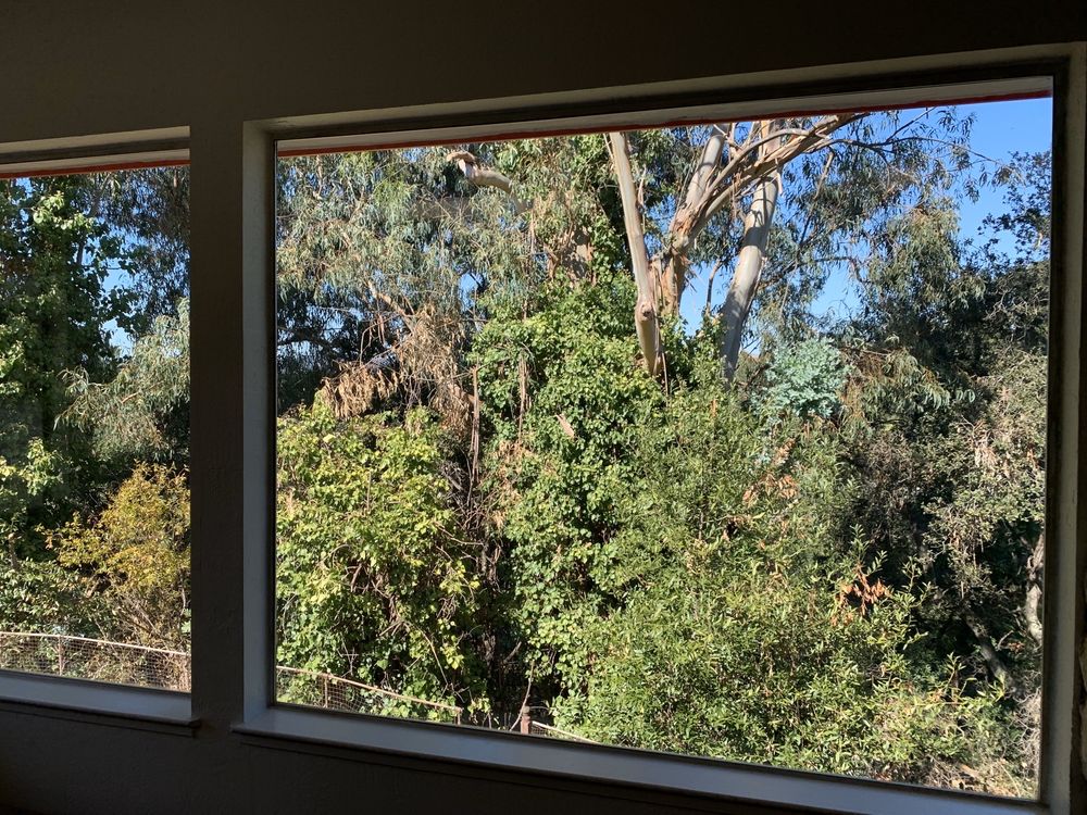 THE SQUEEGEE GUY PROFESSIONAL WINDOW CLEANING Updated July 2024 95