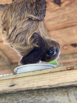 Alabama Gulf Coast Zoo by null