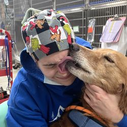 VCA SouthPaws Veterinary Specialists & Emergency Center
