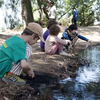 Everlasting Education - Have your student become an Everlasting Earthling and watch them strengthen their observational skills! - Community Service/Non-Profit Near Me Everlasting Education - Have your student become an Everlasting Earthling and watch them strengthen their observational skills! - Community Service/Non-Profit Near Me