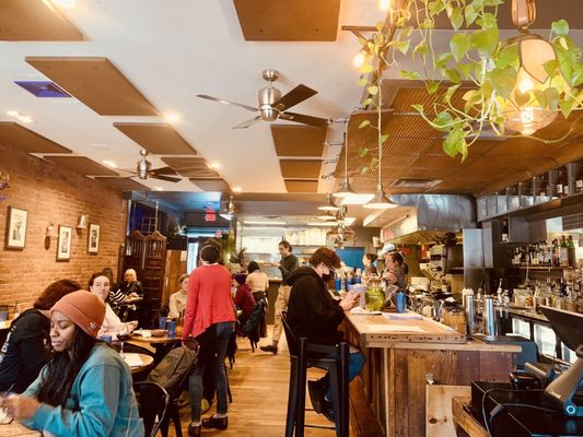 Brassica Kitchen + Cafe by null