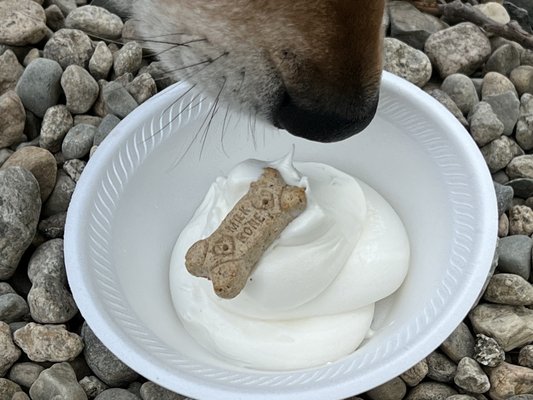 Lago's Ice Cream by null